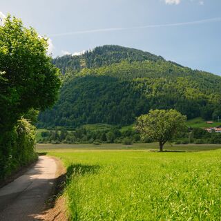 Landschaft am Kleinen Alpsee