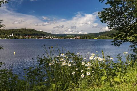 Westweg Etappe 9, Titisee-Neustadt, Titisee