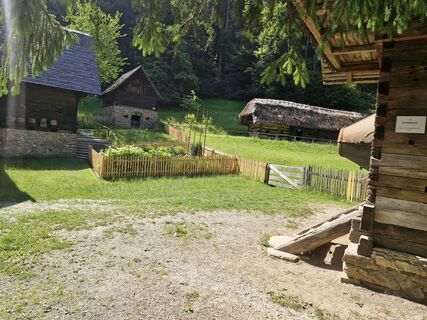 Photo de michael hanisch le long du parcours