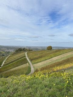 Photo de S Michel584 le long du parcours