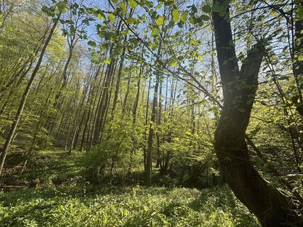 Foto de Reti Alicia a lo largo del recorrido