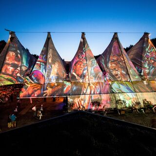 buntes Wiesen Festivals