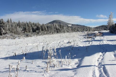 Teichalm mit Blick auf Osser_Naturpark Almenland_Oststeiermark