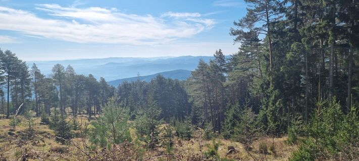 Fotografija s spletne strani Manu Hof na poti