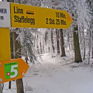 Winterwanderweg