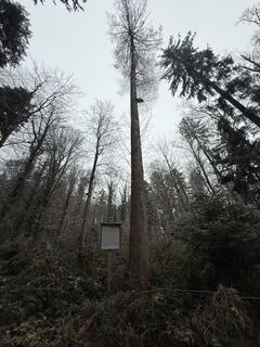 Fotografia z InesW na trase