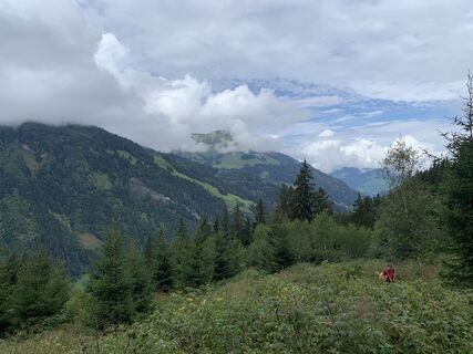 Foto von Koen De Wit entlang der Tour