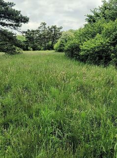 Foto de Julika Jármer a lo largo del recorrido