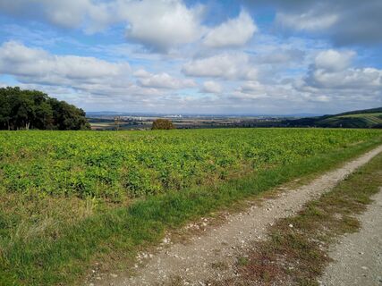 Foto von bremsrad entlang der Tour
