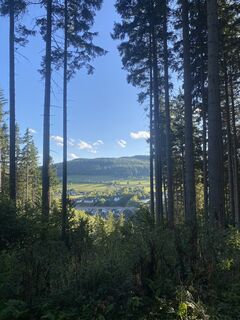 Foto de Sandy a lo largo del recorrido