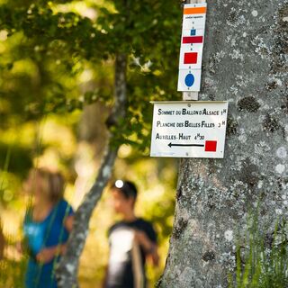 Ballon d'Alsace - Markierung von Wanderwegen