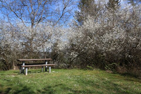 Rundwanderweg1 in Gaildorf mit Ruhebank im Frühling