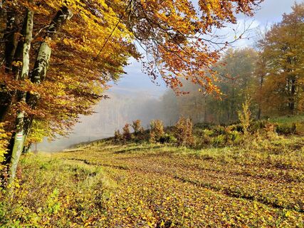 Fotografija s spletne strani Monika Mezővári na poti
