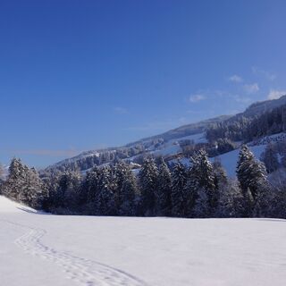Winterlandschaft