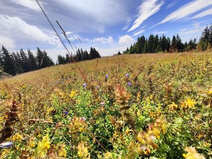 Foto von Lena Eder entlang der Tour