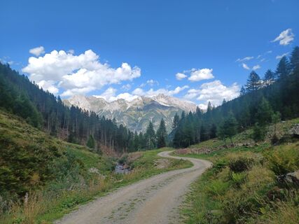 Photo de Dirk Haselhahn le long du parcours