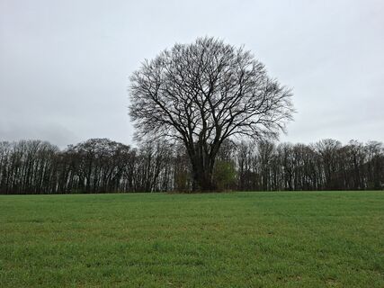 Zdjęcie z Yolanda de wzdłuż trasy