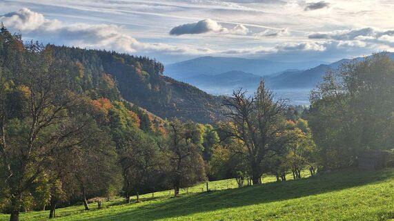 Fotografia z Regina Fleischmann na trase