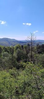 Fotografia z Betzenbergfex na trase