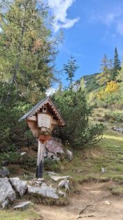 Foto von Fuchs Irene entlang der Tour