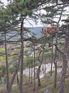 Foto von Reinlinde Trummer Milkovits entlang der Tour