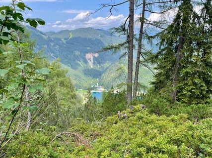 Hofbürgelhütte zum Gosausee