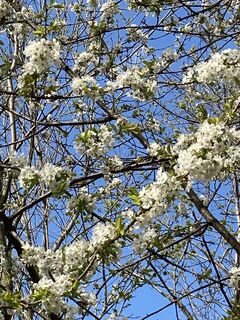 Foto von E F entlang der Tour