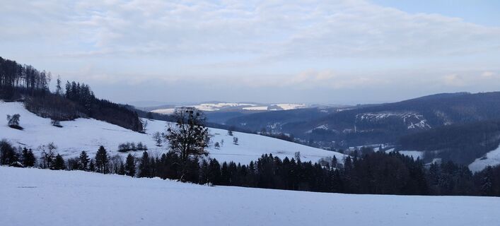 Foto von Forsthofer entlang der Tour