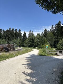 Photo de Heinz Sperl le long du parcours