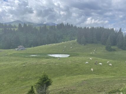 Foto von Bruno Grossmann entlang der Tour