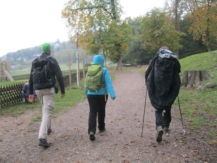 Lainzer Tiergarten
