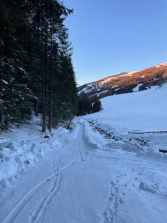 Weg am St.Oswalder Bach