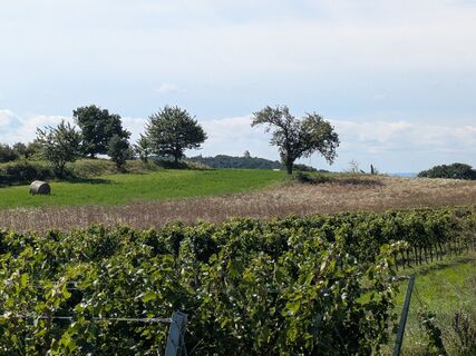 Fotografie z Edero na trase