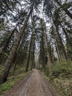 Fotografia z Lisa1705 na trase