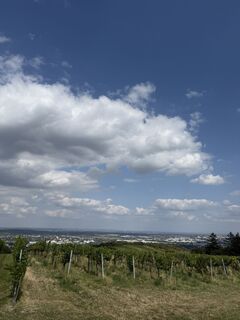 Foto da Olena Duriagina lungo il tour