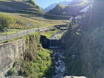 Fotografia z Murielle Dünnenberger na trase