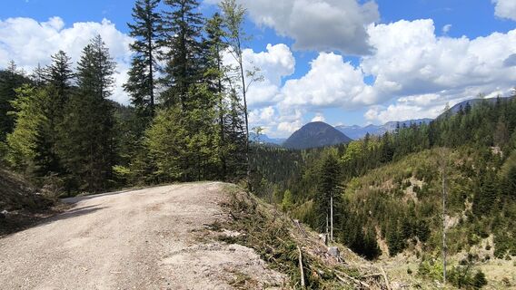 Fotó a WilliSt honlapról a túra során