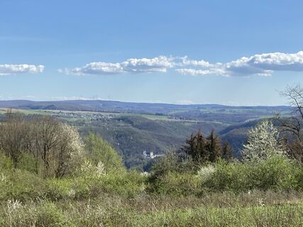 Blick über die Lehnhöhen auf Kloster Armstein