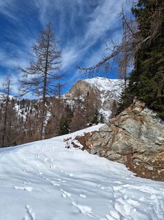 Foto de Dagmar Hofer a lo largo del recorrido