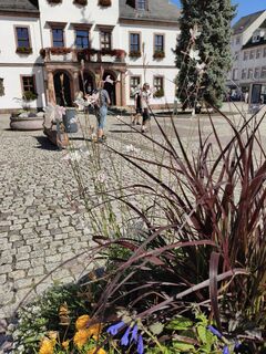Photo de Rossel Reinhardt1 le long du parcours