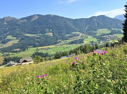 Foto von Veronika Strauss entlang der Tour