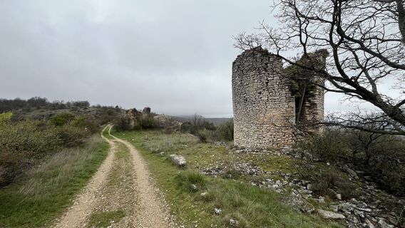 Foto von eric menault entlang der Tour
