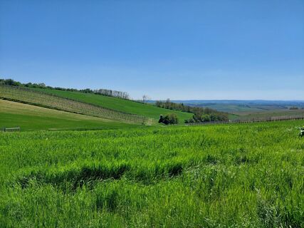 Foto von catherina entlang der Tour