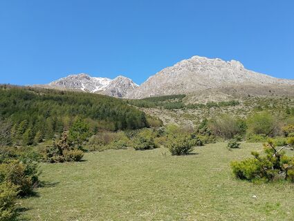 Fotografie z Tonix1 na trase