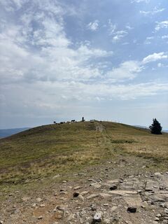 Foto von Philipp entlang der Tour