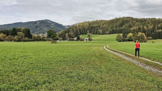 Idyllischer Weg durch Kulturlandschaft