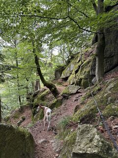 Photo de Babs Holz le long du parcours