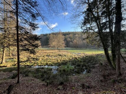 Photo de luggy le long du parcours