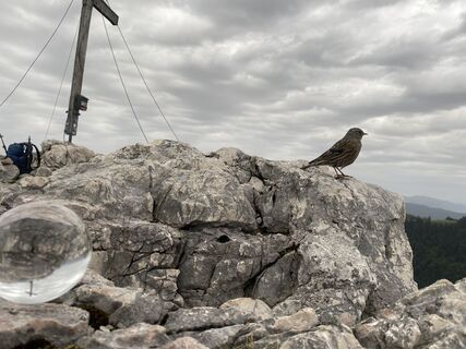 Fotografia z Sven Krieblin na trase