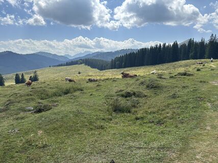 Foto von Victoria Pichler entlang der Tour